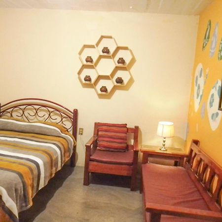Los Nardos Hostel -Pet Friendly- Oaxaca Kültér fotó
