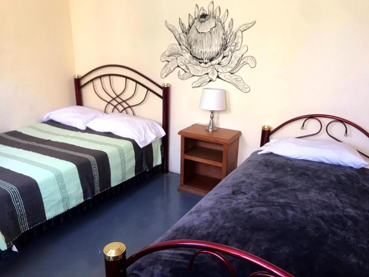 Los Nardos Hostel -Pet Friendly- Oaxaca Kültér fotó