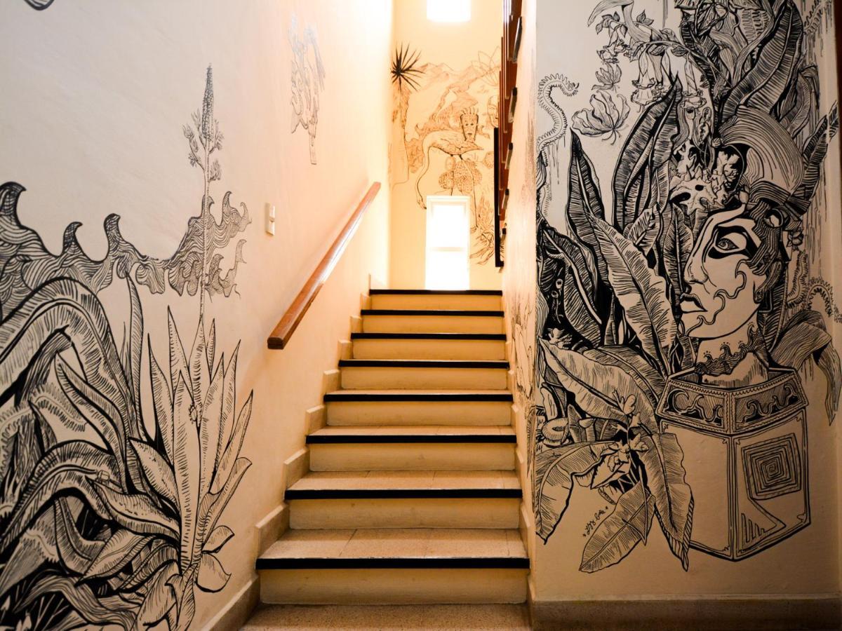 Los Nardos Hostel -Pet Friendly- Oaxaca Kültér fotó