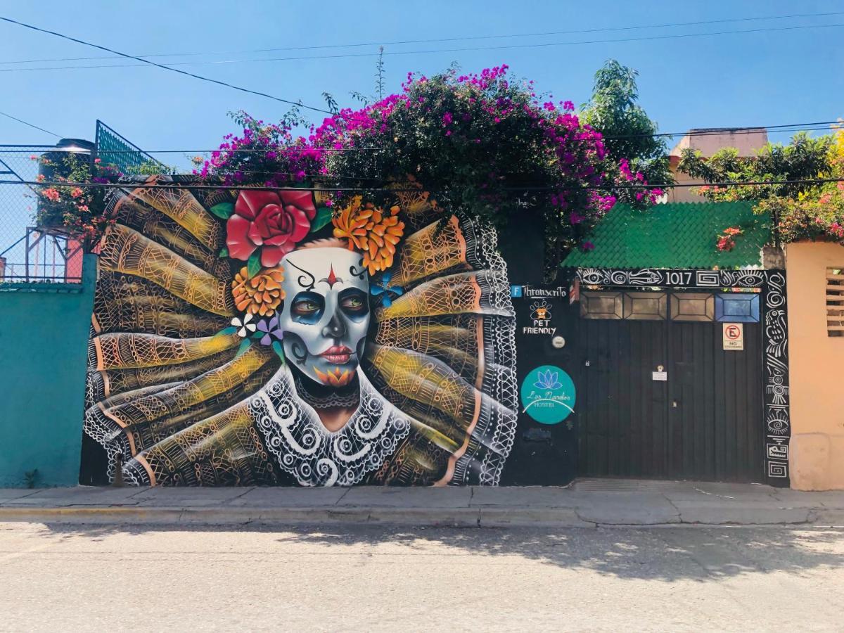 Los Nardos Hostel -Pet Friendly- Oaxaca Kültér fotó