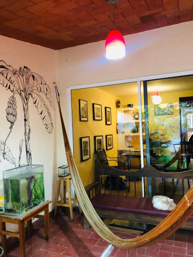 Los Nardos Hostel -Pet Friendly- Oaxaca Kültér fotó