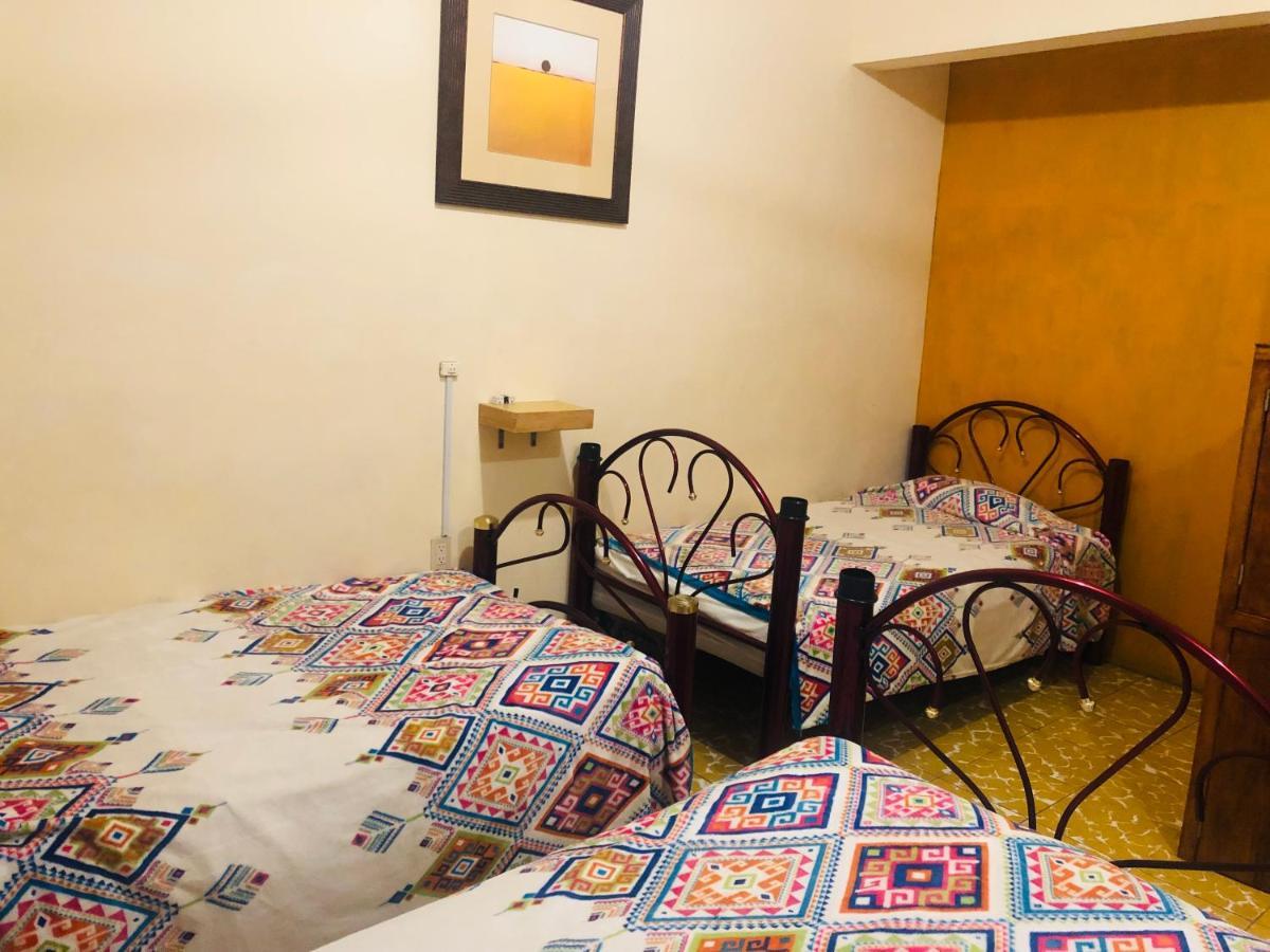 Los Nardos Hostel -Pet Friendly- Oaxaca Kültér fotó