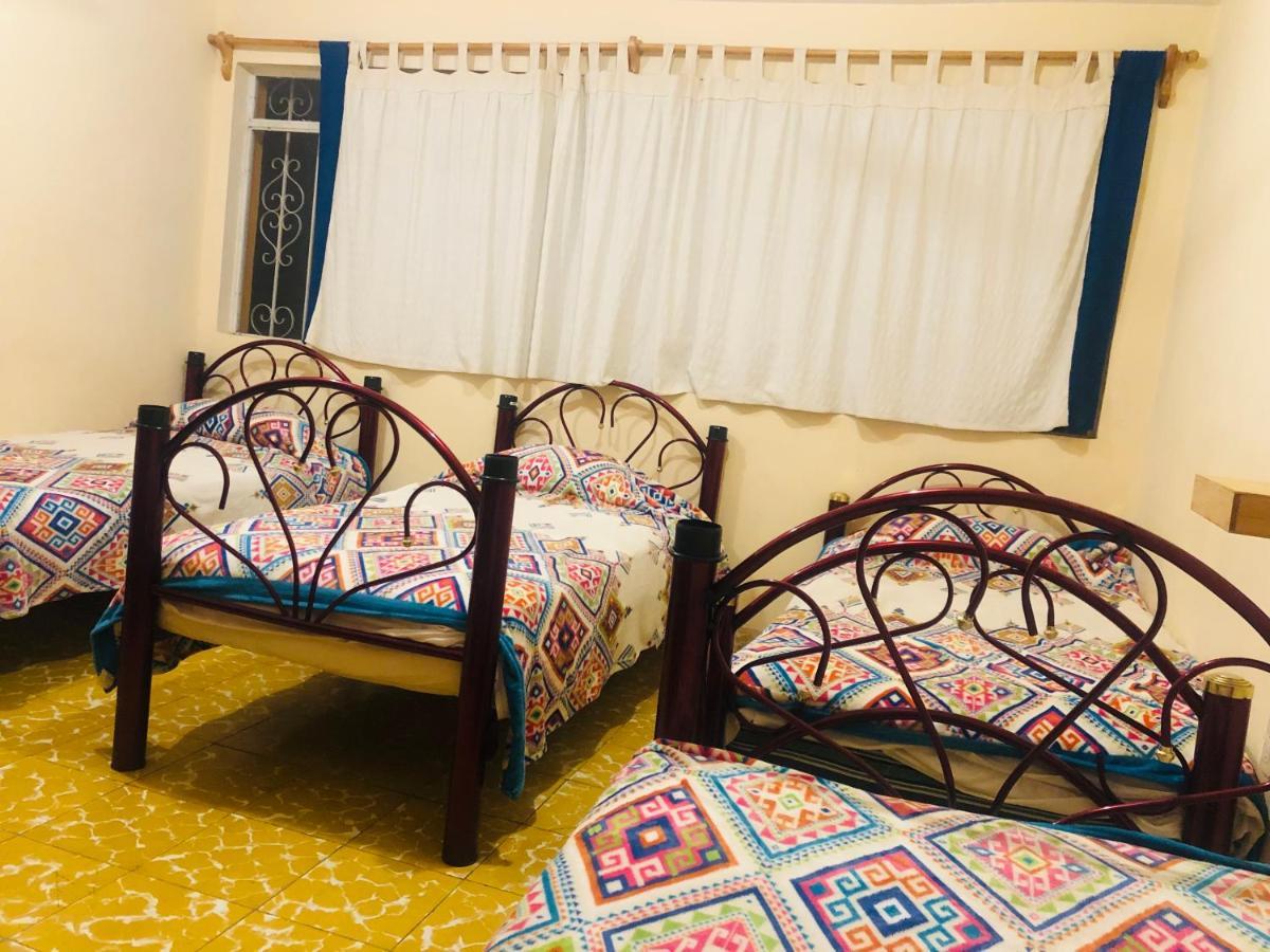 Los Nardos Hostel -Pet Friendly- Oaxaca Kültér fotó