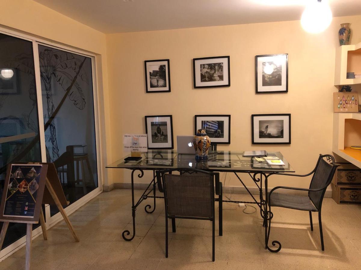 Los Nardos Hostel -Pet Friendly- Oaxaca Kültér fotó