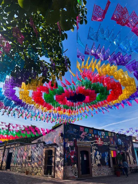Los Nardos Hostel -Pet Friendly- Oaxaca Kültér fotó