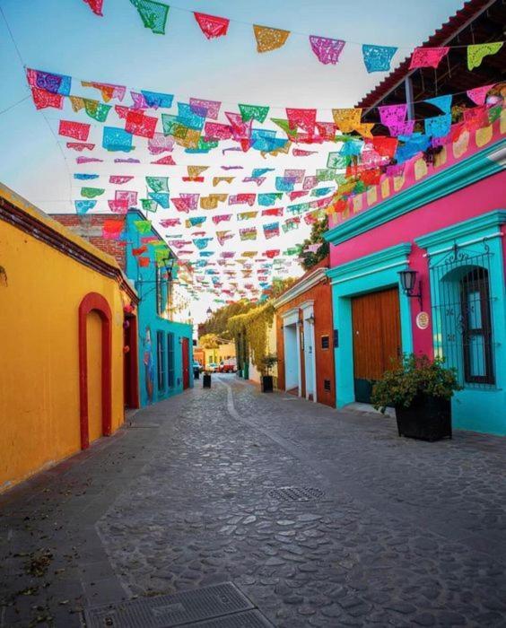 Los Nardos Hostel -Pet Friendly- Oaxaca Kültér fotó
