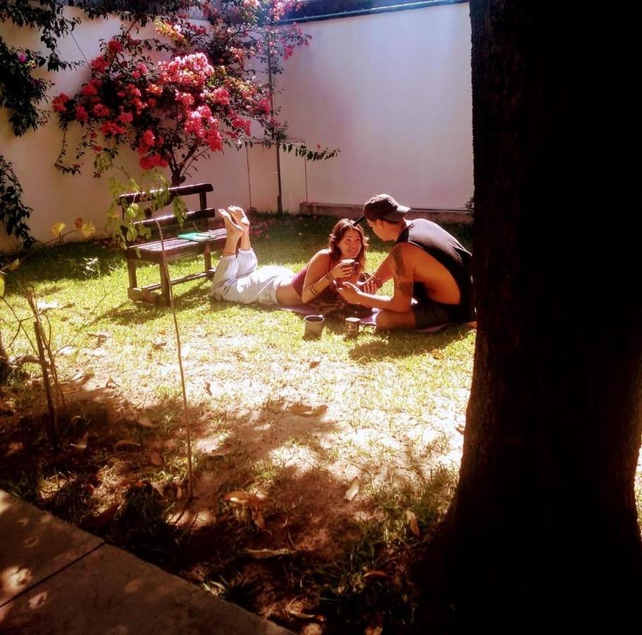 Los Nardos Hostel -Pet Friendly- Oaxaca Kültér fotó