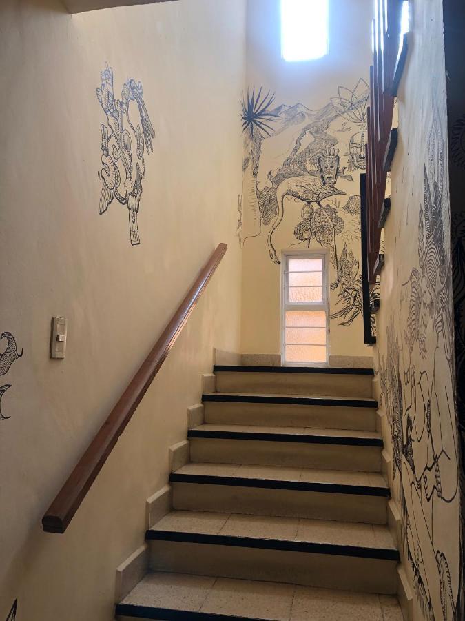 Los Nardos Hostel -Pet Friendly- Oaxaca Kültér fotó