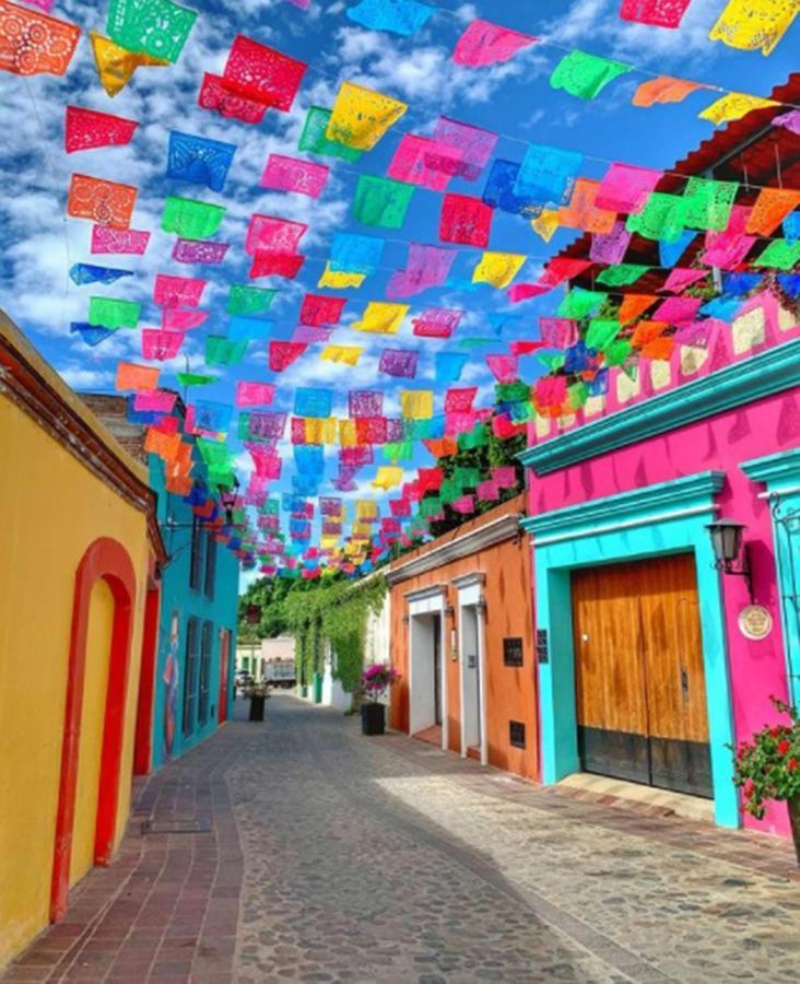 Los Nardos Hostel -Pet Friendly- Oaxaca Kültér fotó
