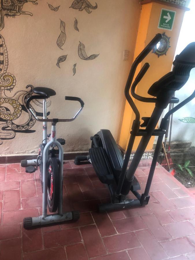 Los Nardos Hostel -Pet Friendly- Oaxaca Kültér fotó