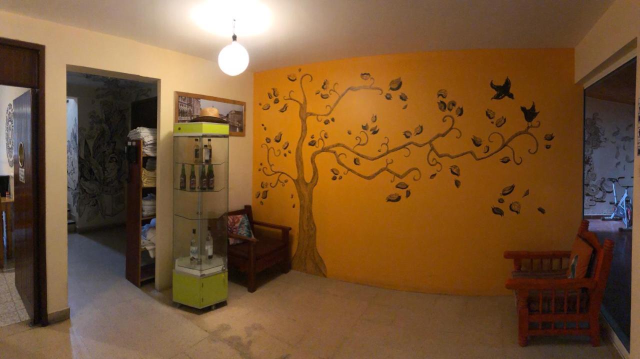 Los Nardos Hostel -Pet Friendly- Oaxaca Kültér fotó