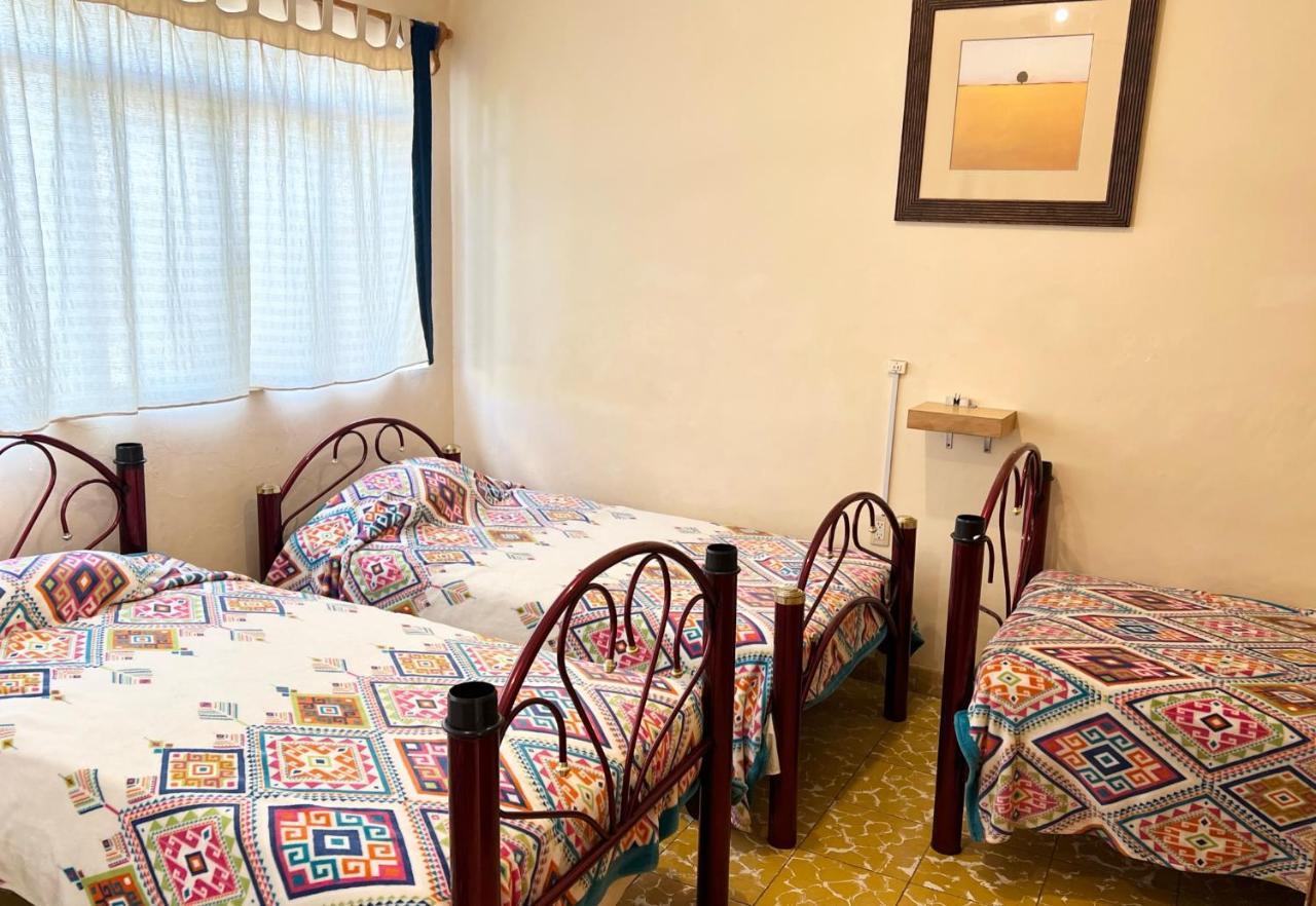 Los Nardos Hostel -Pet Friendly- Oaxaca Kültér fotó