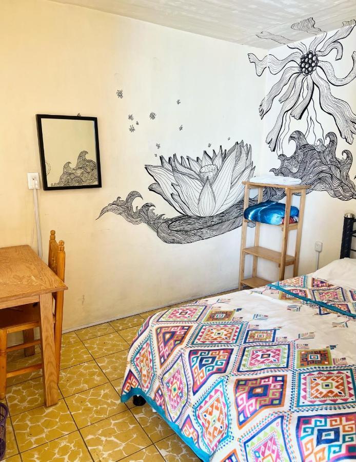 Los Nardos Hostel -Pet Friendly- Oaxaca Kültér fotó