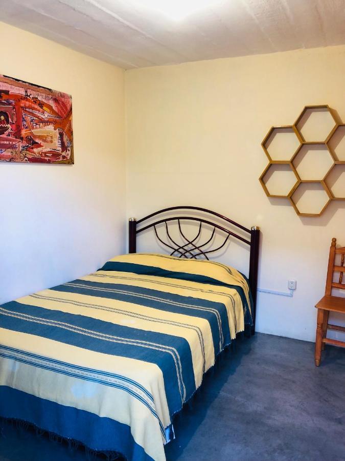 Los Nardos Hostel -Pet Friendly- Oaxaca Kültér fotó