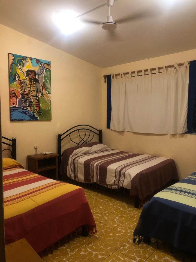 Los Nardos Hostel -Pet Friendly- Oaxaca Kültér fotó