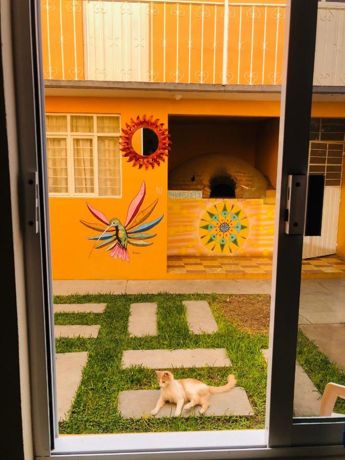 Los Nardos Hostel -Pet Friendly- Oaxaca Kültér fotó