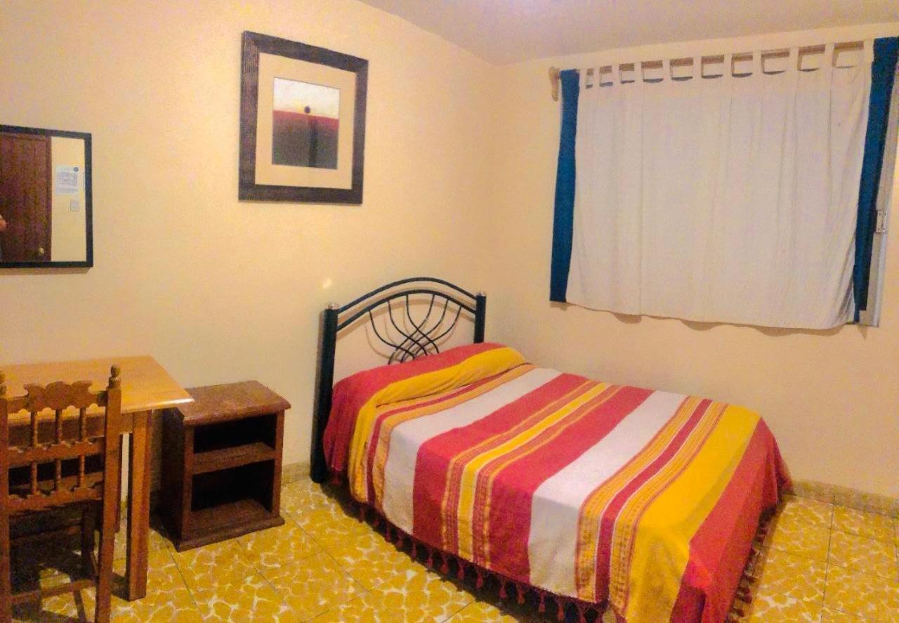 Los Nardos Hostel -Pet Friendly- Oaxaca Kültér fotó