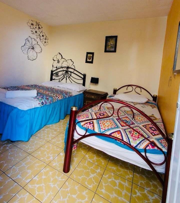 Los Nardos Hostel -Pet Friendly- Oaxaca Kültér fotó