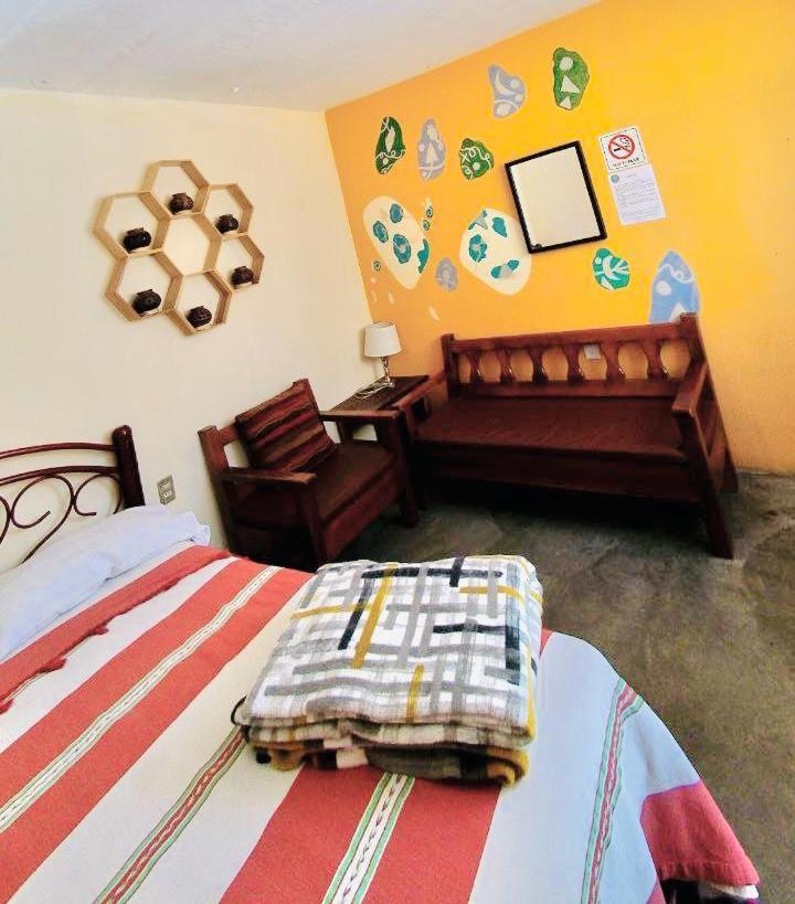 Los Nardos Hostel -Pet Friendly- Oaxaca Kültér fotó
