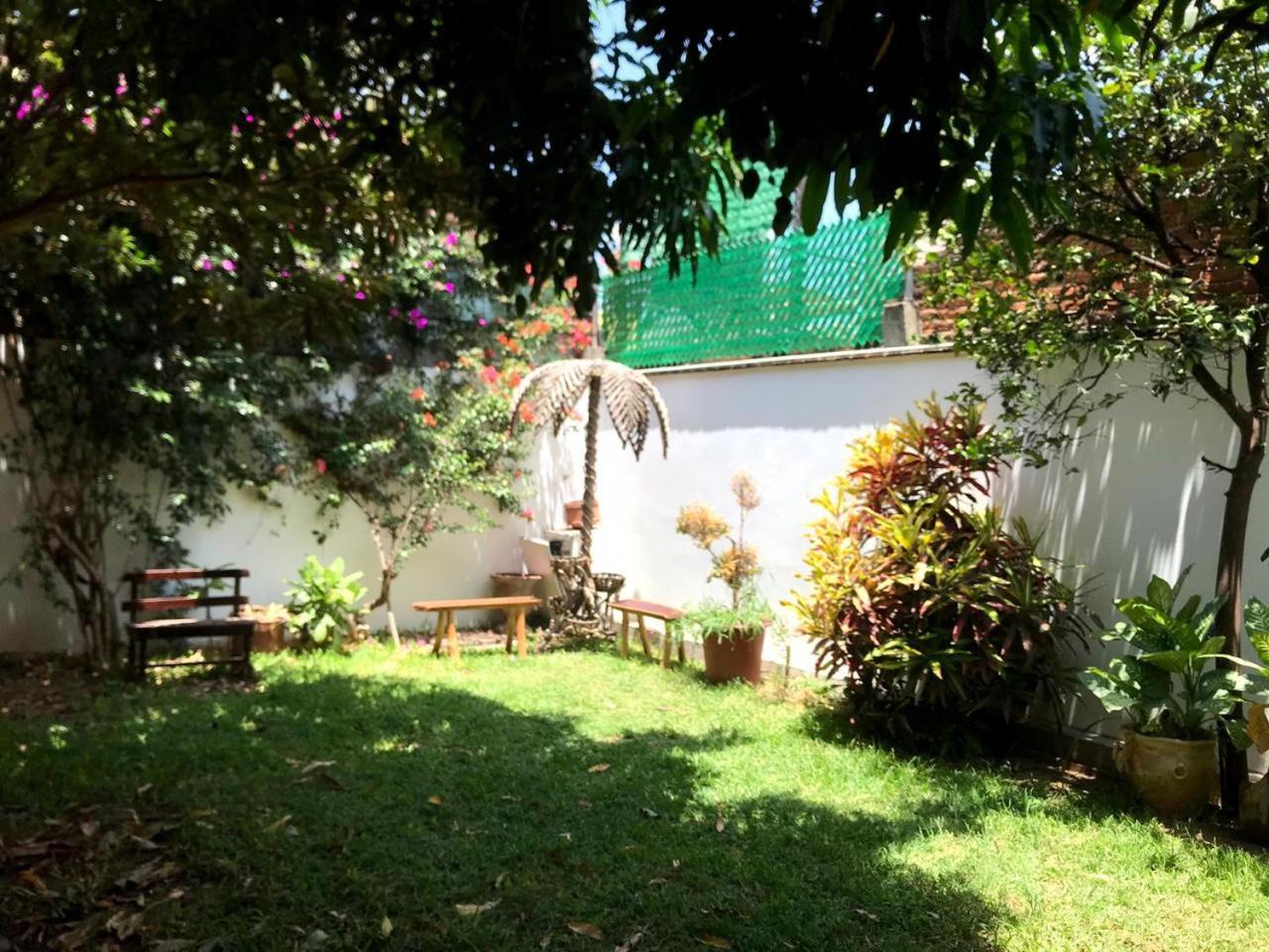 Los Nardos Hostel -Pet Friendly- Oaxaca Kültér fotó