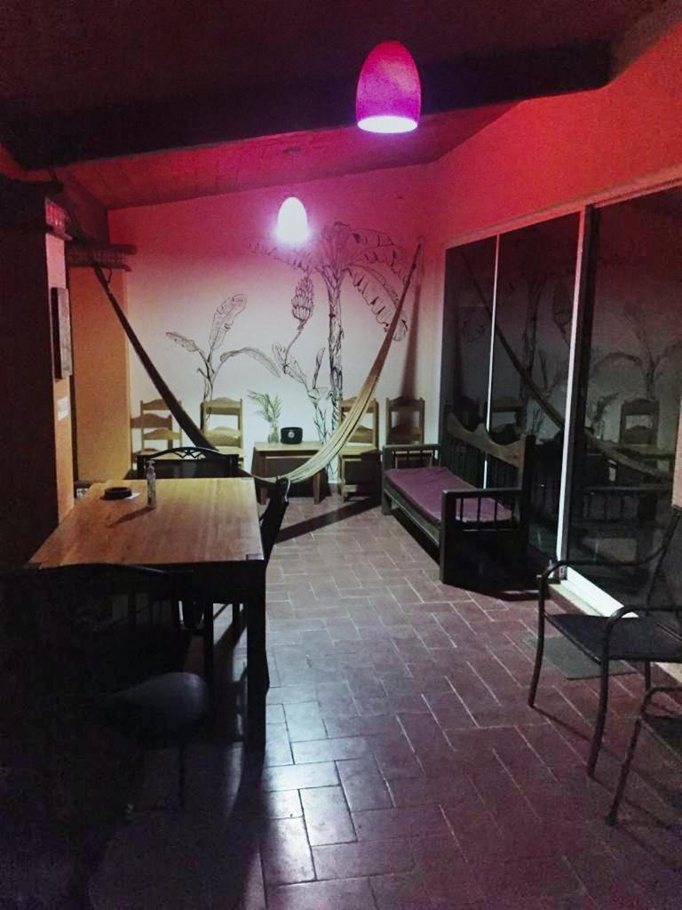 Los Nardos Hostel -Pet Friendly- Oaxaca Kültér fotó