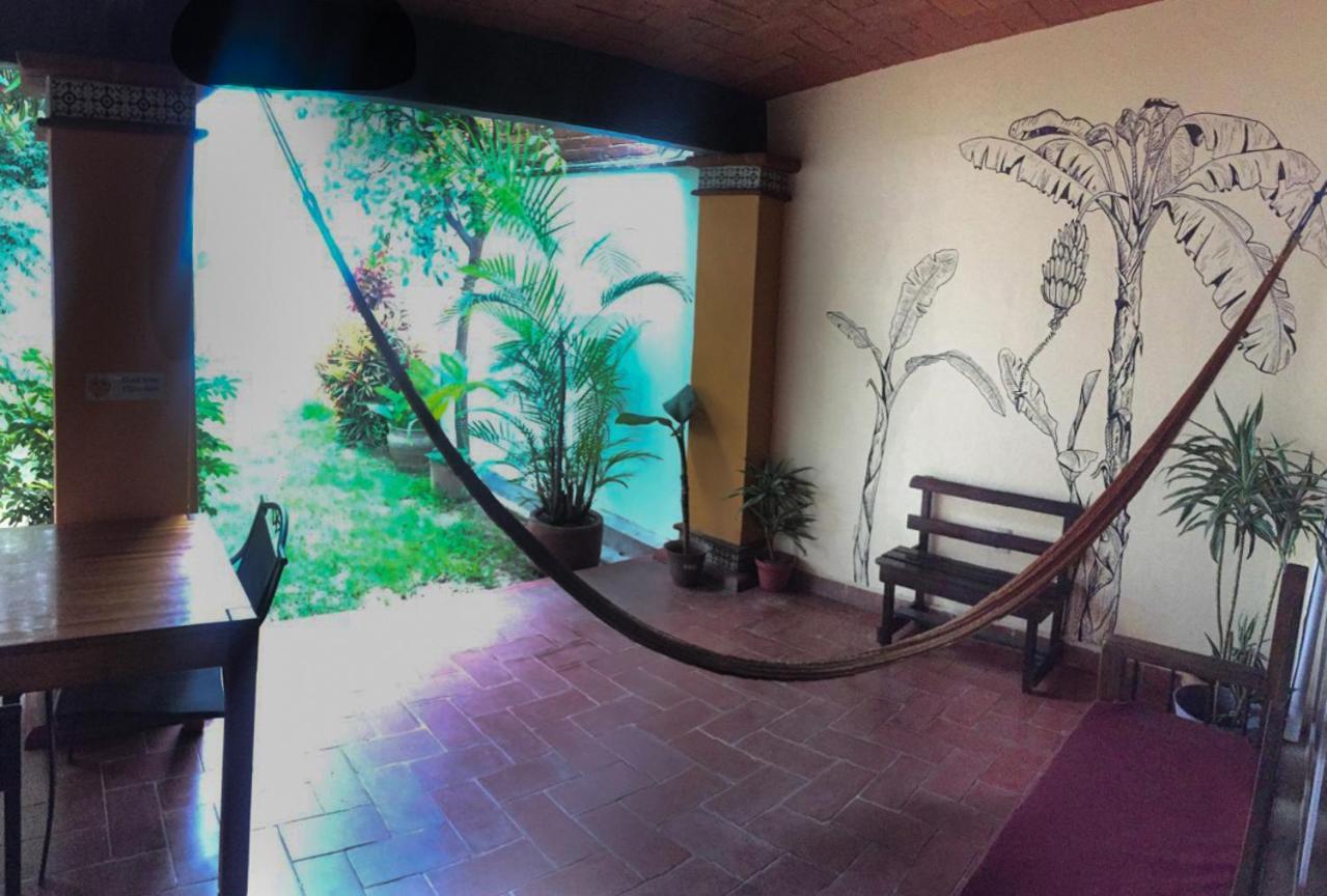 Los Nardos Hostel -Pet Friendly- Oaxaca Kültér fotó