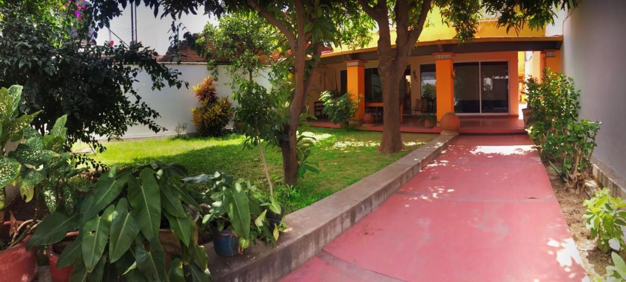 Los Nardos Hostel -Pet Friendly- Oaxaca Kültér fotó