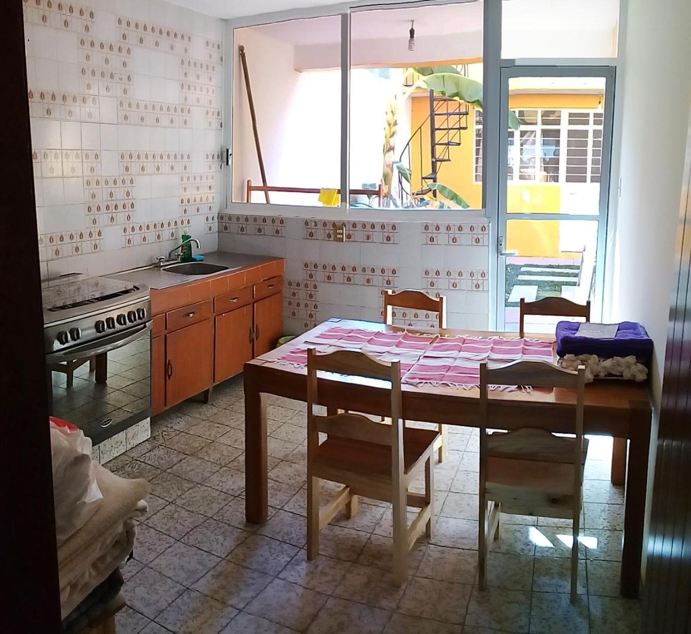 Los Nardos Hostel -Pet Friendly- Oaxaca Kültér fotó