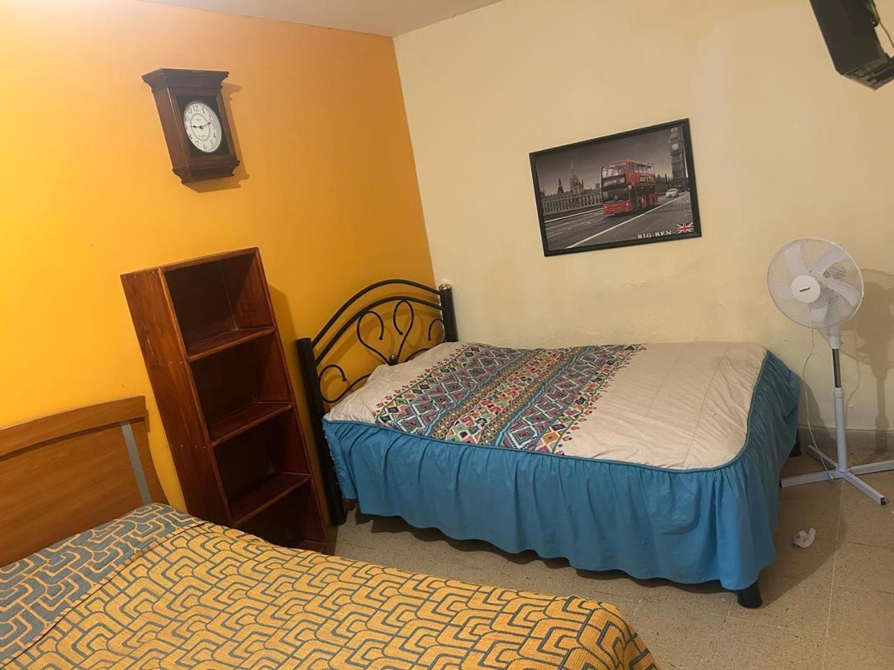 Los Nardos Hostel -Pet Friendly- Oaxaca Kültér fotó